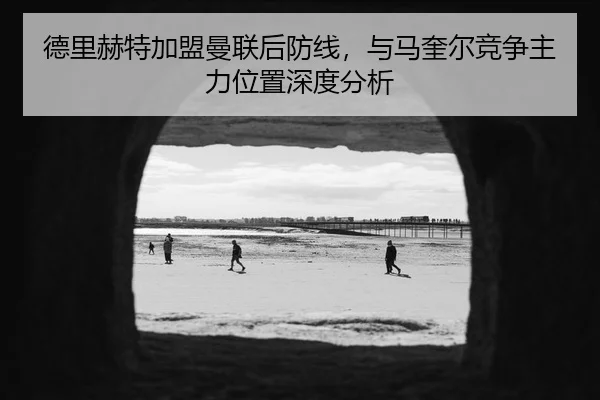 德里赫特加盟曼联后防线，与马奎尔竞争主力位置深度分析