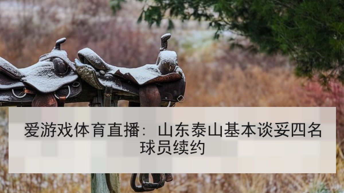 爱游戏体育直播: 山东泰山基本谈妥四名球员续约
