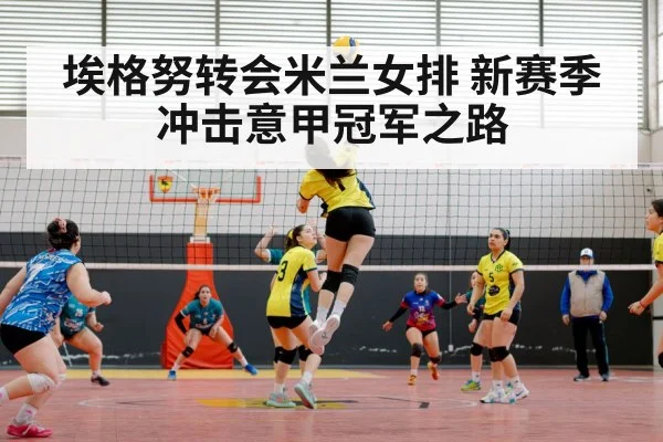 volleyball match action