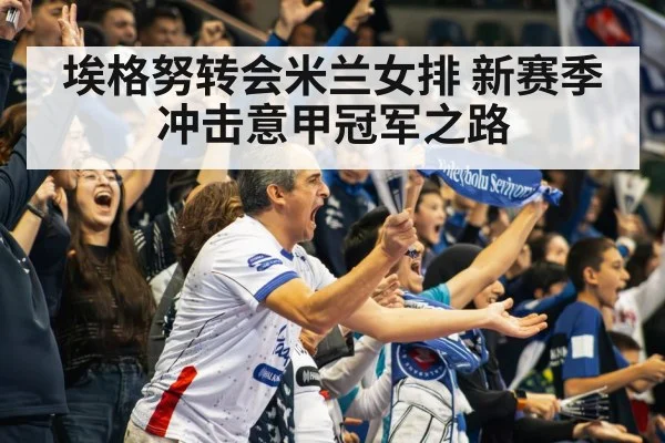 volleyball stadium crowd